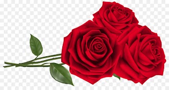 Valentine's Day Wedding invitation Rose Red - Red Beans 