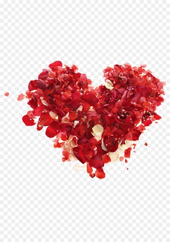 Valentines Day February 14 Gift Love Greeting card - Rose Love 