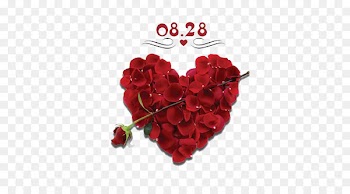 Valentines Day Heart Flower Petal Gift - Qixi rose 