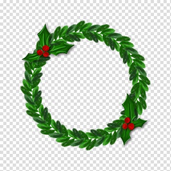Valentines Day Lokai Jewellery Bead Bracelet, Grass ring transparent background PNG clipart