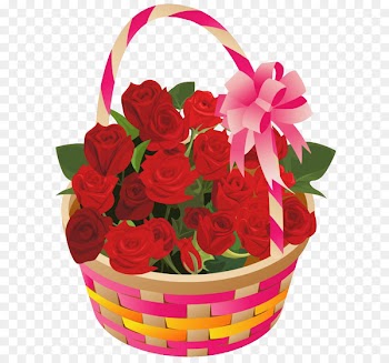 Valentines Day, Rose, Flower, Red PNG