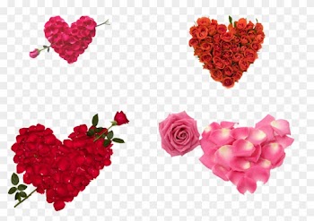 Valentines Day Sms Whatsapp Propose Day Wish - Happy Rose Day