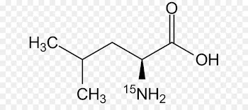 Valeric acid Amino acid Methionine 2-Ethylhexanoic acid - appositive silhouette 