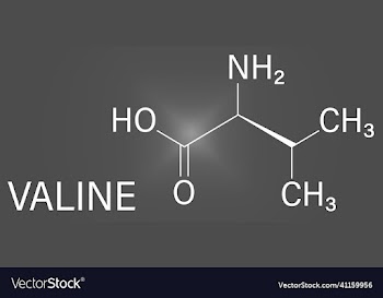 valine amino acid molecule skeletal formula