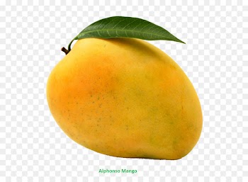 Valsad Mango Alphonso Vegetarian cuisine Mangifera indica - Mango Png 
