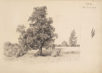 Vanha koivu niityllä. todennäk. 1880-luvun | Free Photo - rawpixel