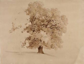 Vanha lehtipuu, rakennuksen ääriviivat, 1856, | Free Photo - rawpixel