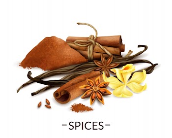 Vanilla flower and dried beans with star anise cinnamon powder and sticks Free Vector