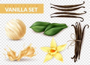 Vanilla realistic set Free Vector