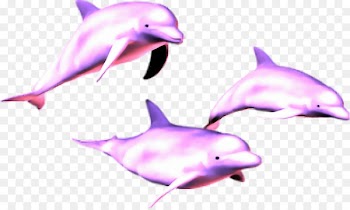 Vaporwave Dolphin Image Portable Network Graphics Clip art - dolphin 