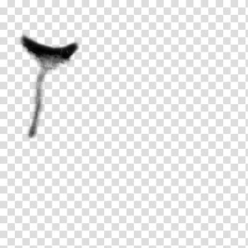 Variados, black and white abstract painting transparent background PNG clipart