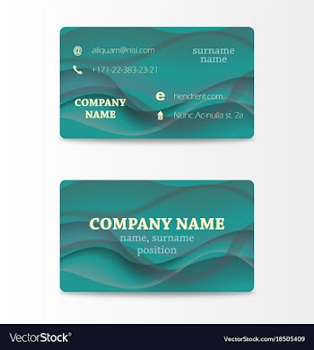 Variety of detailed horizontal business cards on vector image