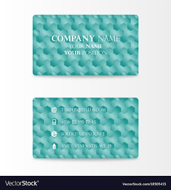 Variety of detailed horizontal business cards on vector image