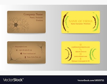 Variety of detailed horizontal business cards on vector image