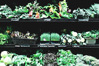 Variety of Herbs and Vegetables