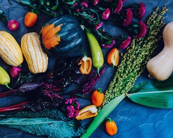 variety of vegetables