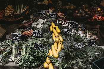 Variety Of Vegetables