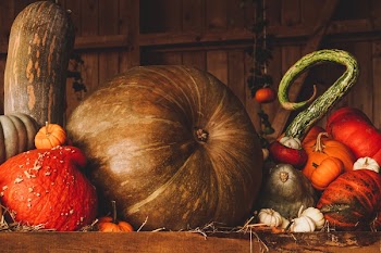 Variety of Vegetables