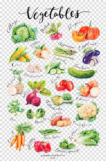 Variety of vegetables chart, Vegetable Auglis Gourd Food, Painted fruits and vegetables fruits and patterns transparent background PNG clipart