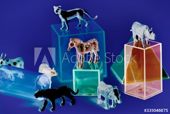 Various animal toy figures with boxes and in a colorful background