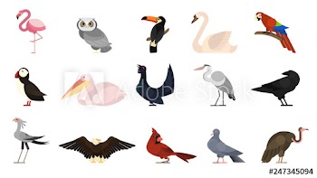 Various bird set