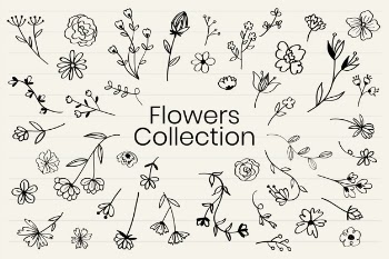 Various flowers doodle collection vector