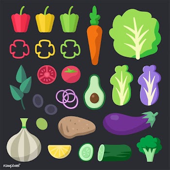 Various fresh organic vegetables vector pack | Free stock vector - 487667