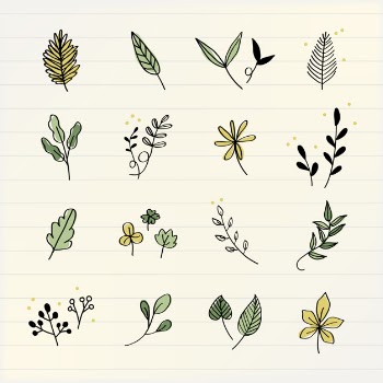 Various leaves doodle collection vector
