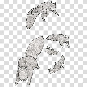 Various XI, gray animal illustration transparent background PNG clipart