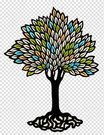 Vascular plant Flowering plant Black Medic Plant taxonomy, tree transparent background PNG clipart