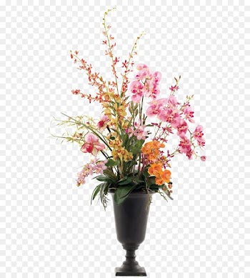 Vase Flower Download - Phalaenopsis flower vase decorated soft furnishings installed 