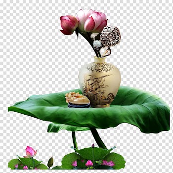 Vase Nelumbo nucifera, Lotus leaf transparent background PNG clipart