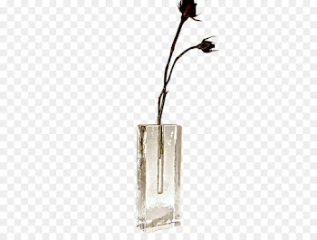 Vase, Plant, Twig PNG