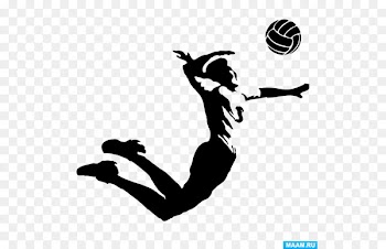 VC Zenit-Kazan Volleyball Sport VC Belogorie Tournament - volleyball 