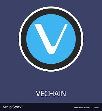 Vechain icon of 3 types color black and white vector image