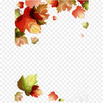 Vector autumn maple leaf 
