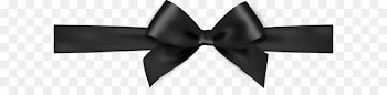 Vector Bow 