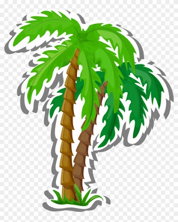 Vector Cartoon Coconut Tree Decoration 1007*1210 Transprent - Vector Cartoon Coconut Tree Decoration 1007*1210 Transprent
