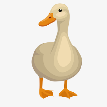 Vector Chicken Ducks Goat Poultry Poultry Ducks, Chicken Vector ...
