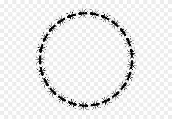 Vector Clip Art Of Ant With Six Legs - Icon Border Circle Png