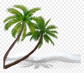 Vector Coconut Trees 1008*757 Transprent Png Free Download - Vector Coconut Trees 1008*757 Transprent Png Free Download