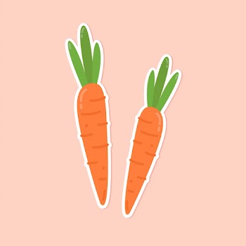 Vector colorful carrot food sticker clipart