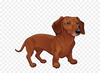 Vector Dachshund 