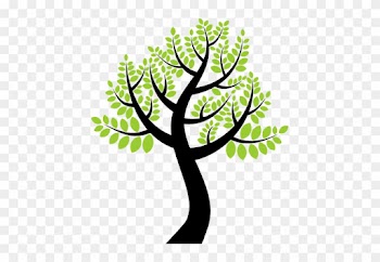 Vector De La Imagen Del Árbol Alto - Tree With Colorful Leaves