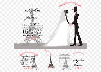 Vector design wedding invitations invitations 