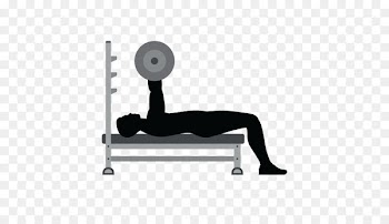 Vector graphics Bench press Royalty-free Illustration - barbell cartoon 