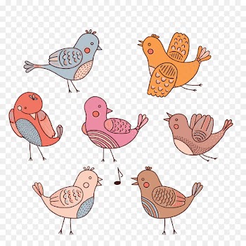 Vector graphics Bird Image Illustration Cartoon - associate vector 