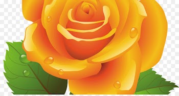 Vector graphics Christian Clip Art Rose Portable Network Graphics - thanx frame 