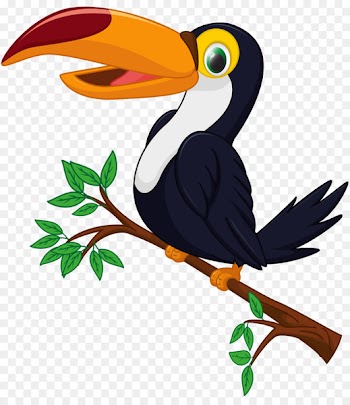 Vector graphics Clip art Bird Toucan Illustration - boulders stamp 