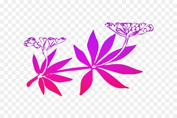 Vector graphics Clip art Image Adobe Illustrator -  